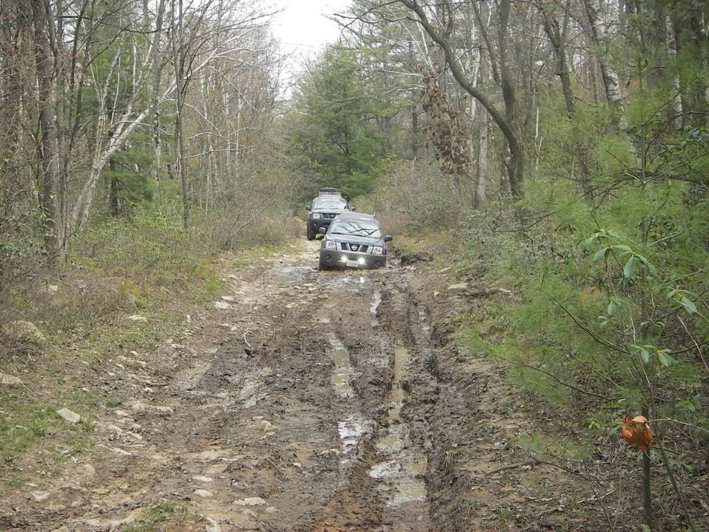 Bald Eagle State Forest eXpo. Lots a pics! Expedition Portal
